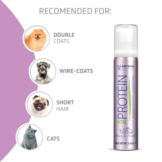 Artero protein Vital conditioner 650ml