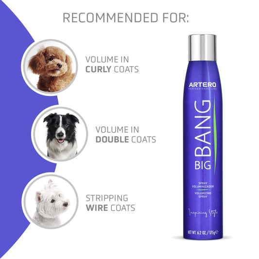 ARTERO BIG BANG VOLUMIZING SPRAY 300ML