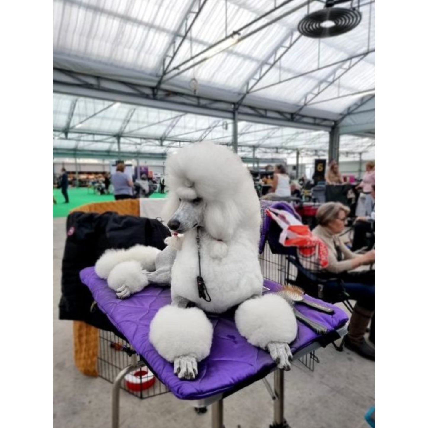 The Satin Crown - show table topper